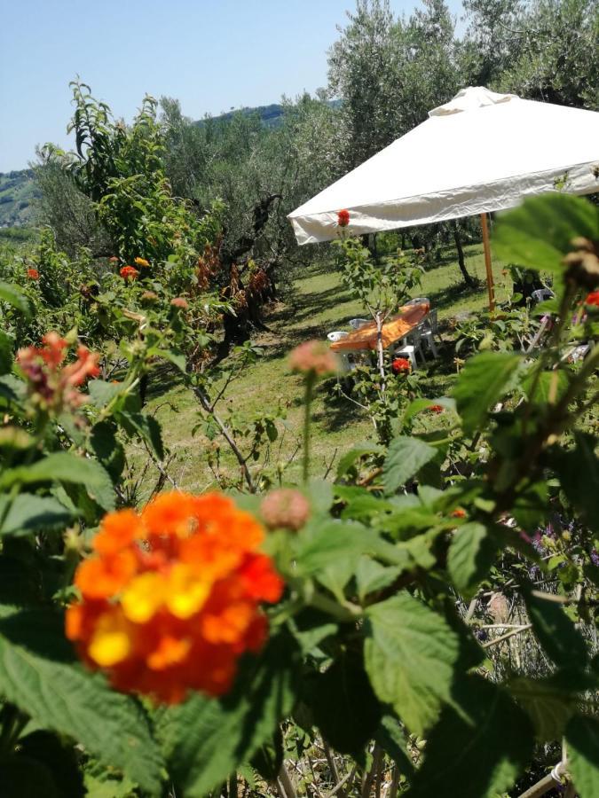 Vacanze In Collina, Tra Mare E Monti Bucchianico Exterior foto